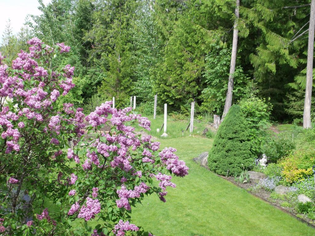 Silver Star Bed And Breakfast Vernon Room photo